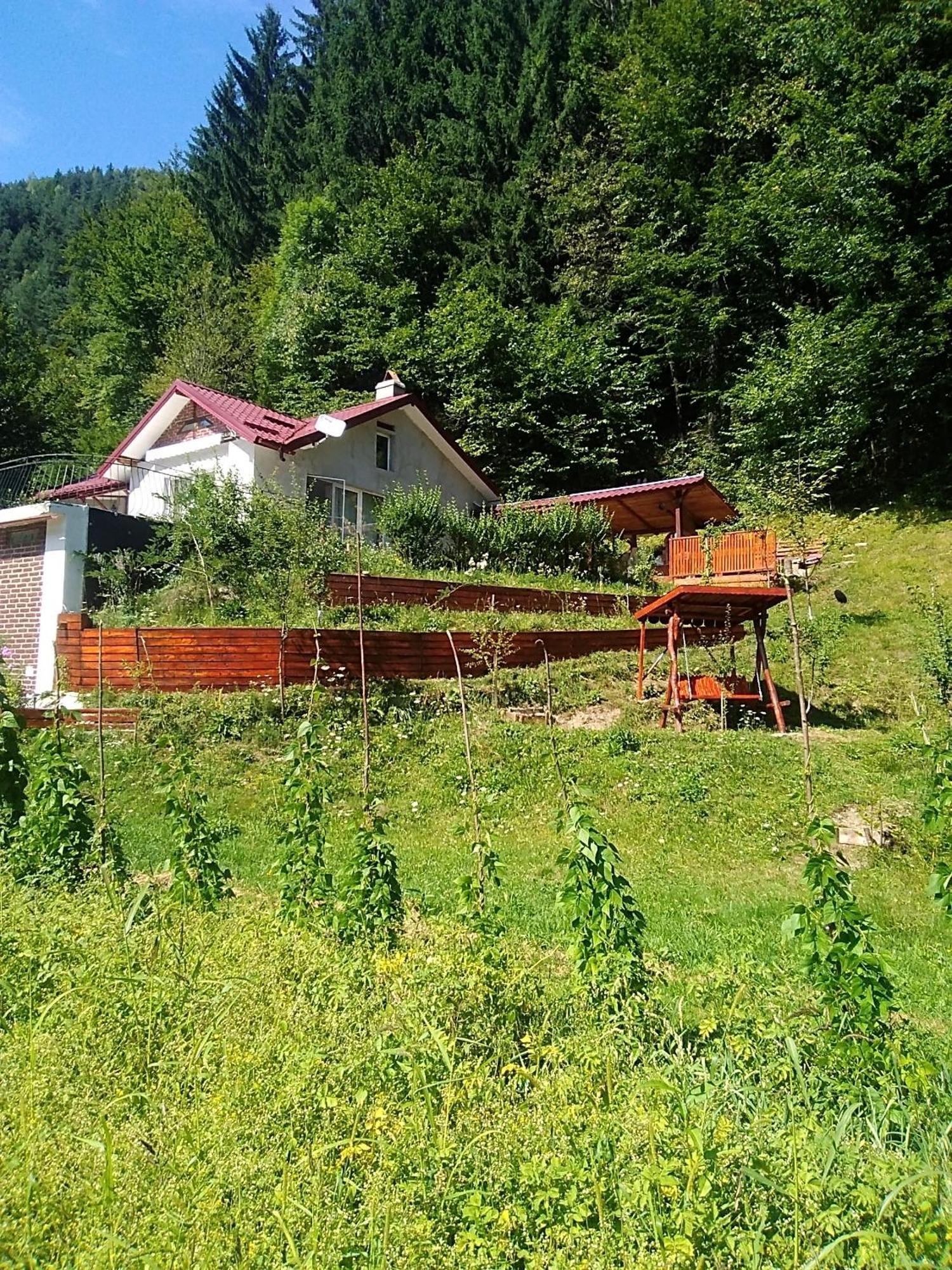 Hotel Casa Ozon Vulcan  Exterior foto